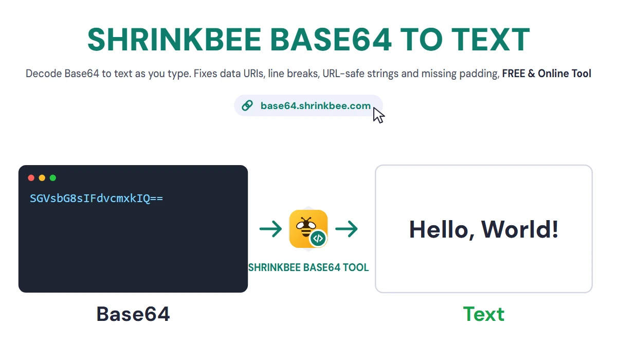 Base64 to Text Decoder with ShrinkBee