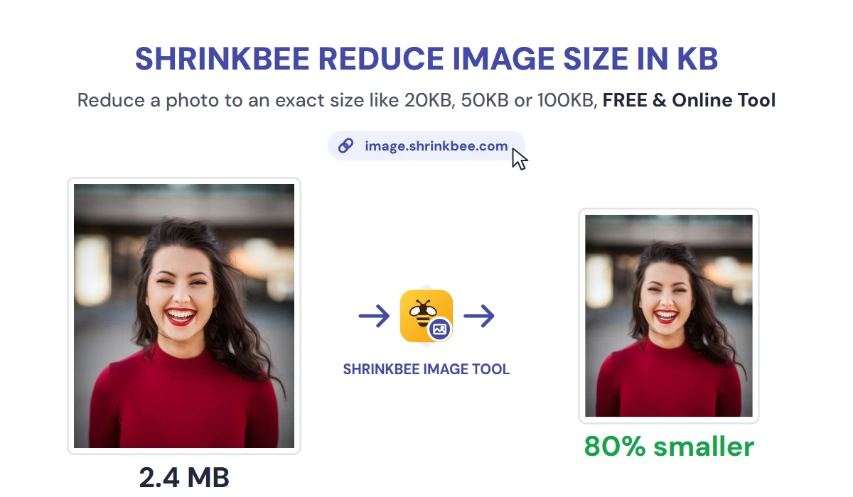 Compress Image to 500KB with ShrinkBee