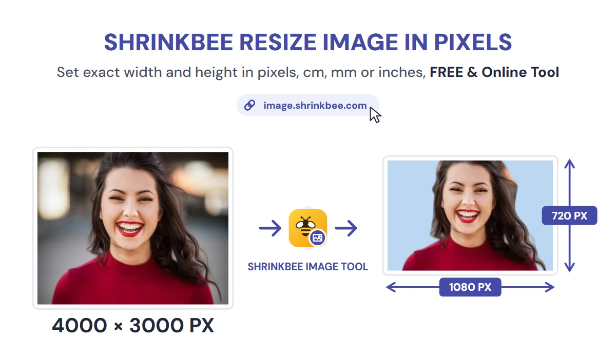 Resize Image to 600×600 with ShrinkBee