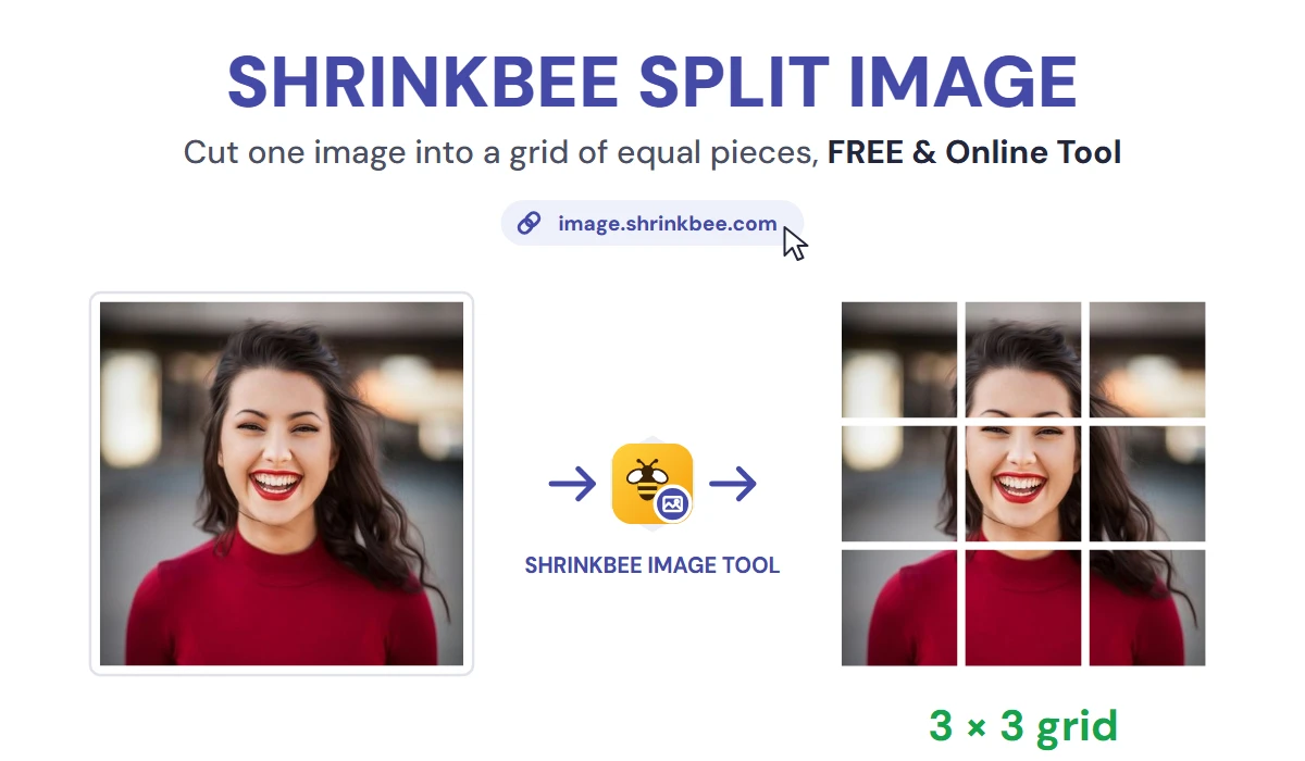 Split Image with ShrinkBee